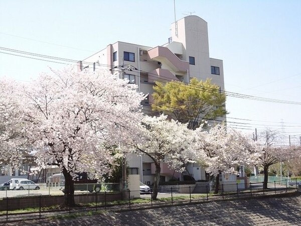 外観(★春になると桜並木がとても綺麗です★)