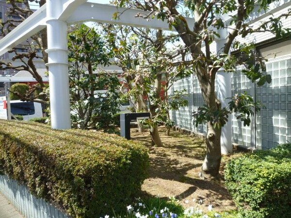 庭(★植栽★)