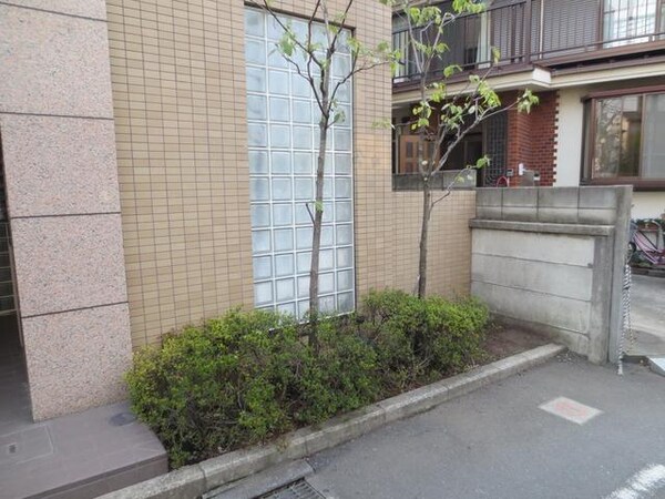 庭(★エントランス前の植樹★)