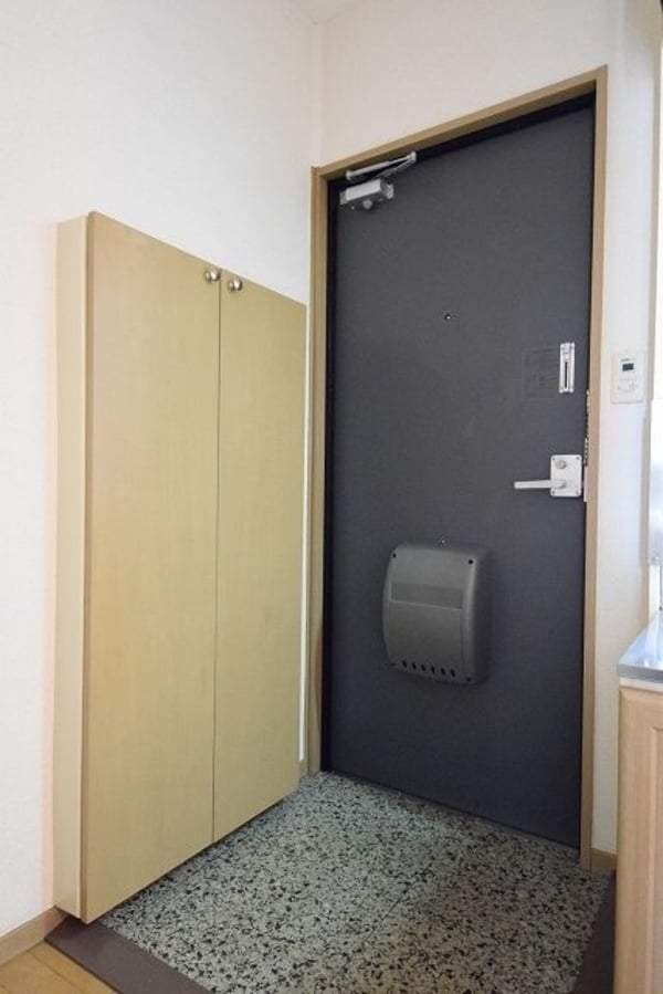 玄関(別部屋参考写真)