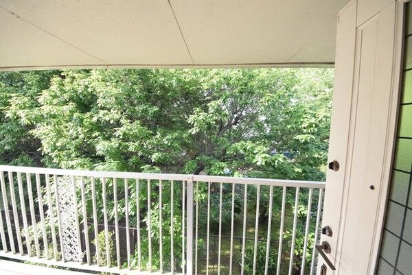 眺望(★緑が多いですね★)