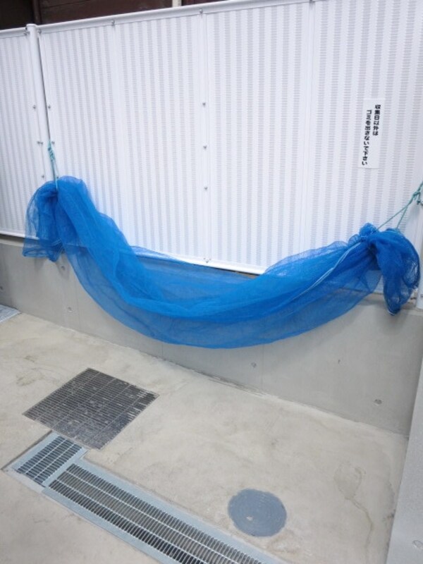 共有部分(★ゴミ置き場です★)