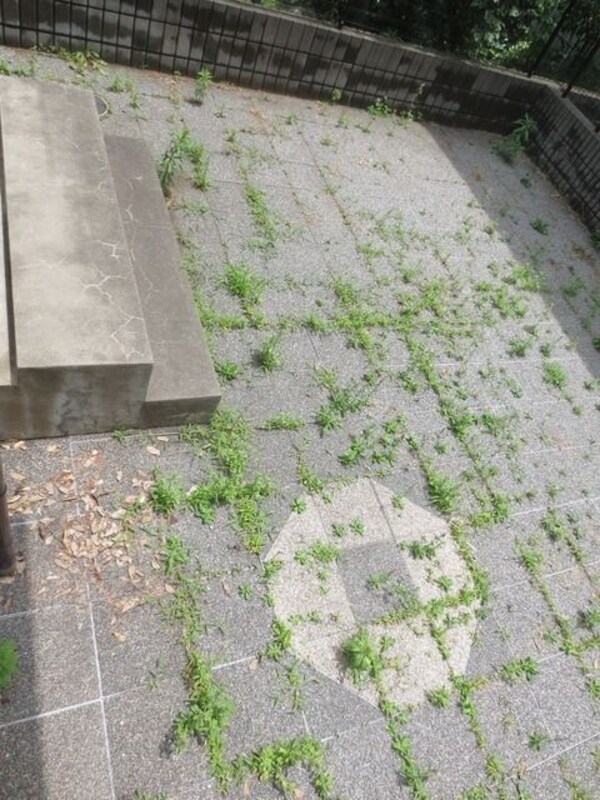 共有部分(★専用テラス★)