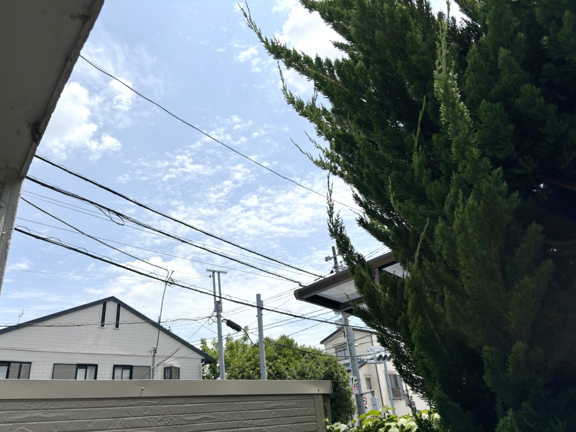 内観写真