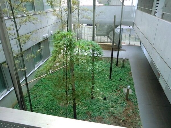 その他(★中庭植栽です★)