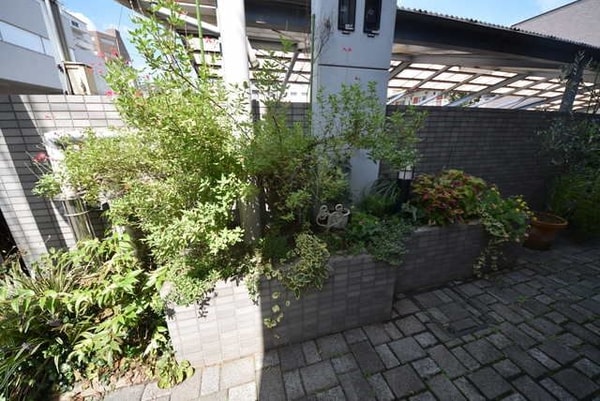 庭(★植栽です★)