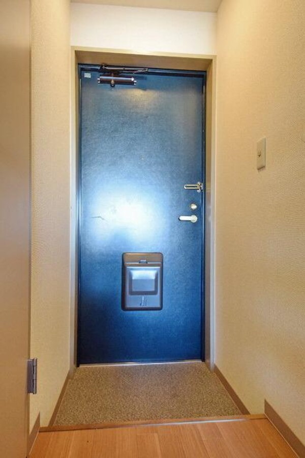 玄関(別部屋参考写真)