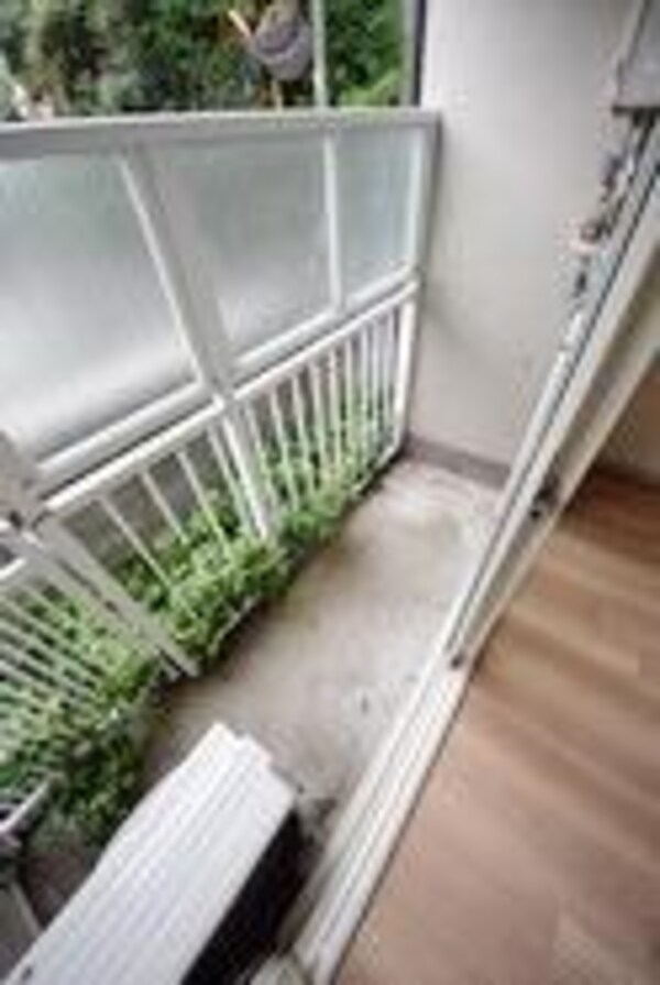 バルコニー(★日当たり良好★)