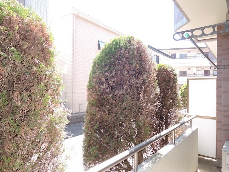 物件内観写真10　(★お問い合わせはタウンハウジングまで★)