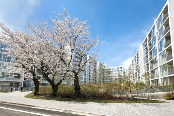 その他(★閑静な住宅街の立地です★)