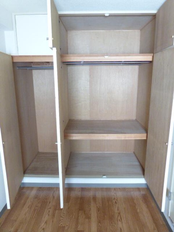 収納(大型の収納です。天袋もありますのでたっぷり収納できます)