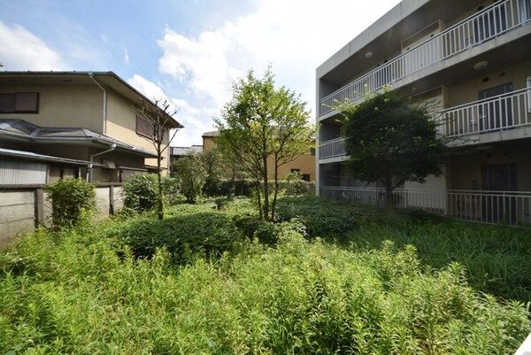 眺望(★景色です★)