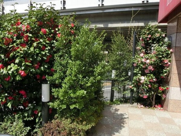 その他(外観・共用部分)