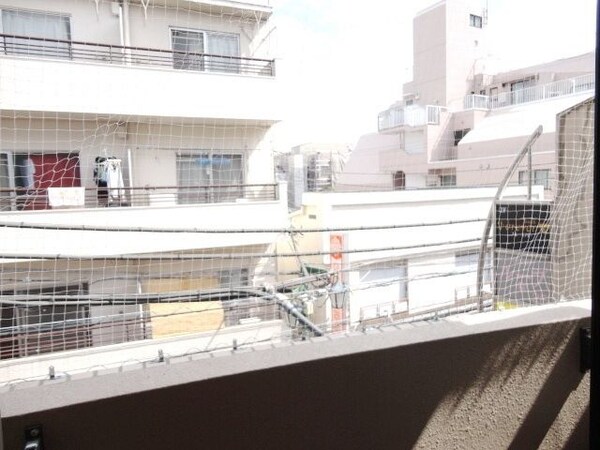 眺望(★鳥避けネット付★)