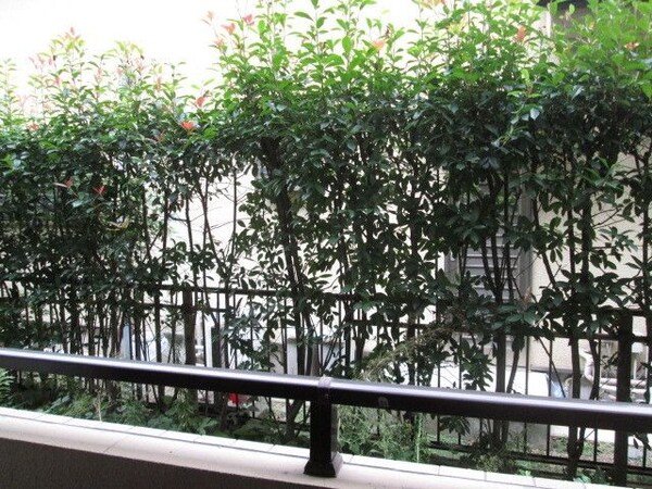 眺望(★周辺は閑静な住宅地★)