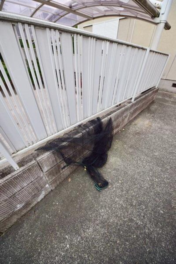 共有部分(★敷地内ゴミ置き場です★)