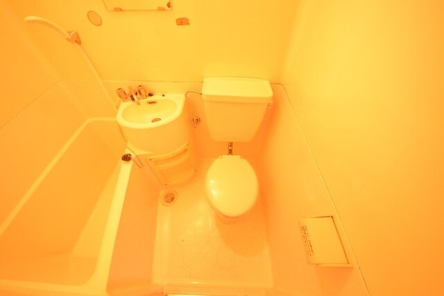 物件内観写真5　(トイレ)