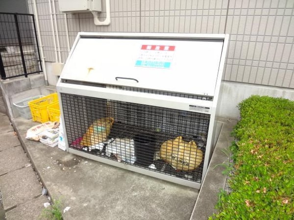 その他(★ゴミ捨て場★)