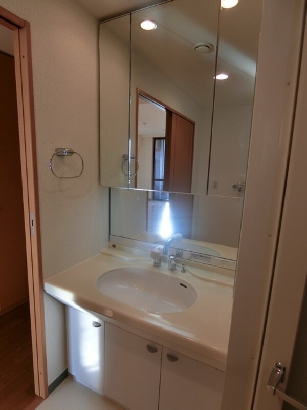 洗面(※同お建物の別のお部屋のイメージです。)