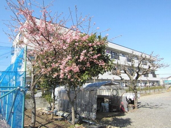 その他(★閑静な住宅街です★)