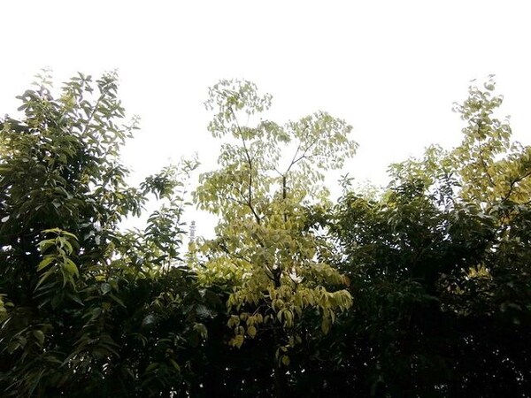 眺望(★景色★)