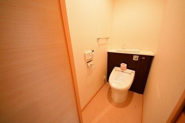 トイレ(別号室参考写真)