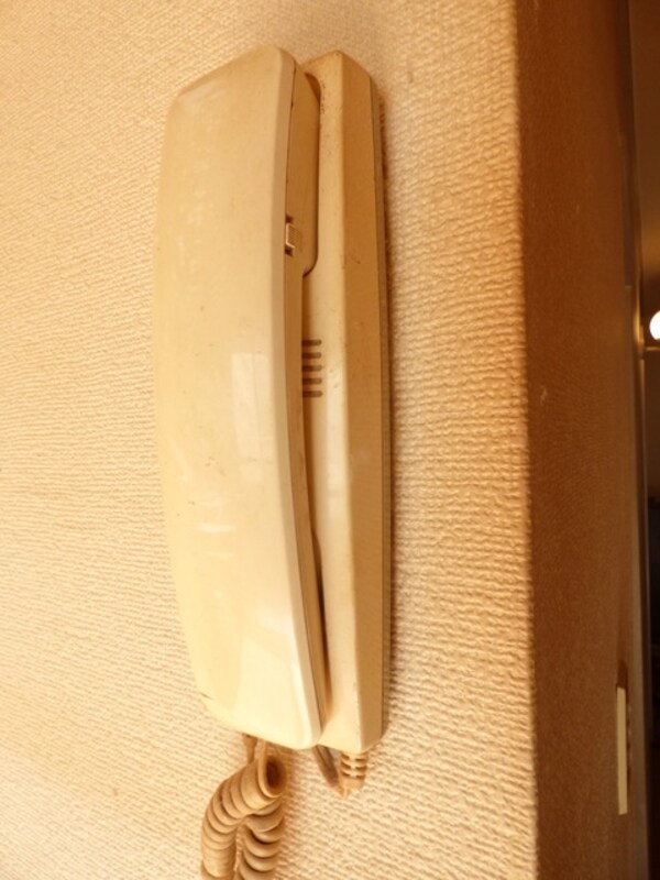 セキュリティ(♪インターホン♪)