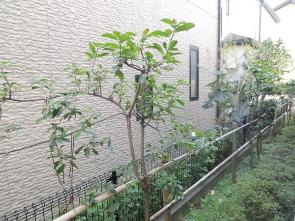 眺望(★窓からの景色★)