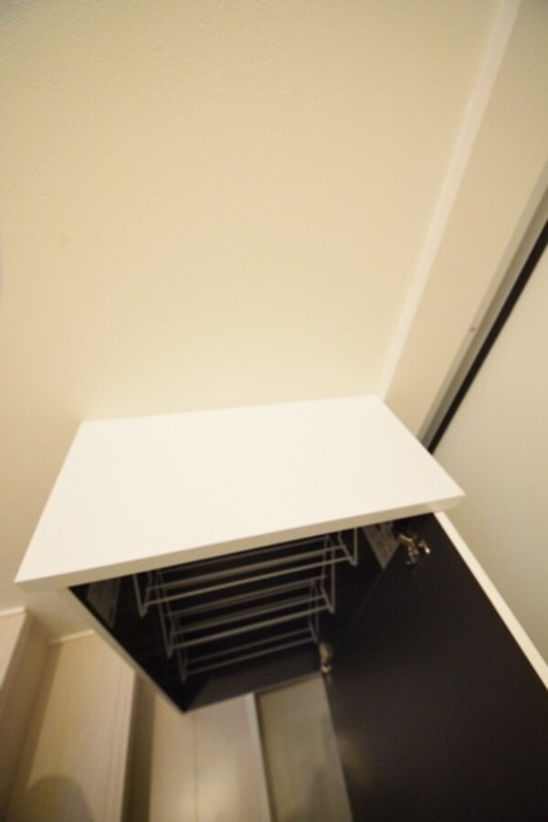 収納(シューズボックス)