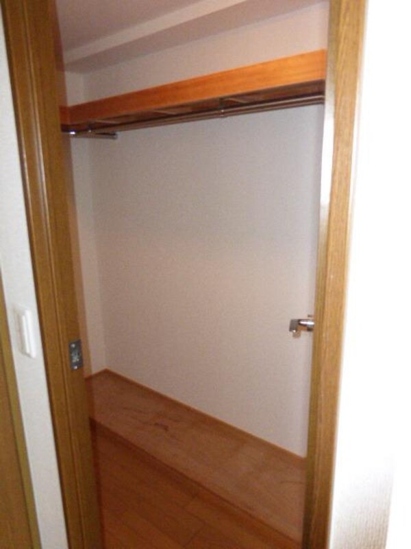 収納(ウォークインクローゼットです)