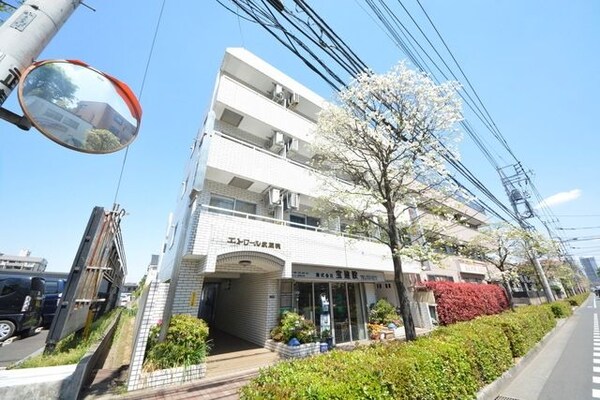 外観(外観)