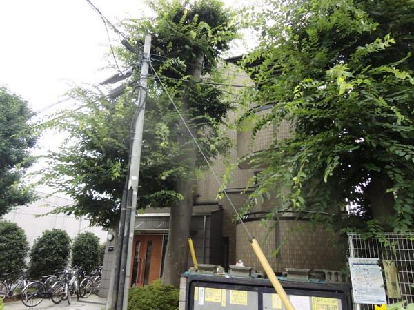 外観(キレイなタイル張り)