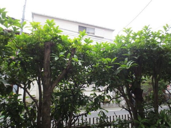 眺望(★植木があって防犯面の配慮がされています★)