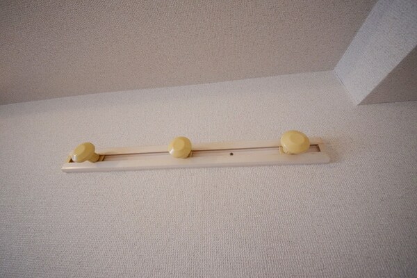 その他(★何をかけましょうか★)