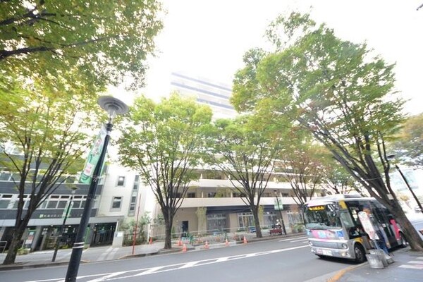 外観(外観)