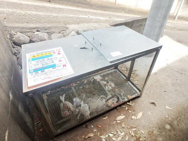 共有部分(ゴミ出しのルールを守りましょう♪)