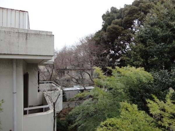 眺望(バルコニーからの景色)