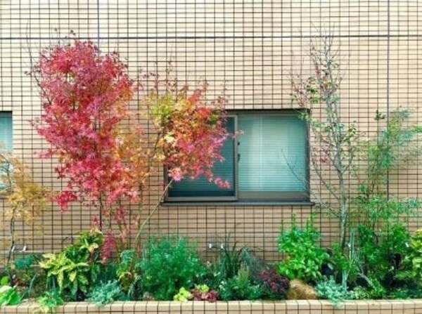 庭(エントランス)