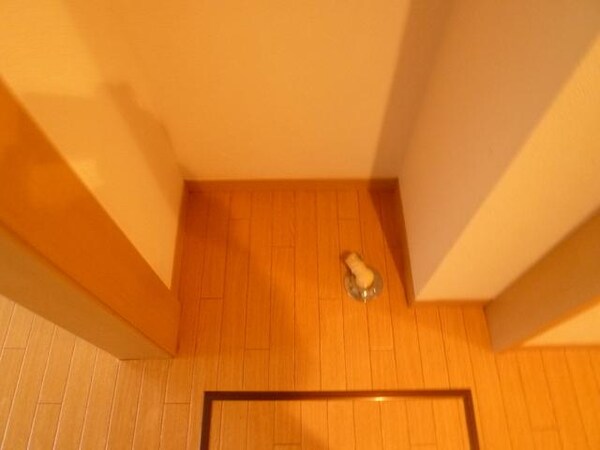 その他室内・内装(☆室内洗濯機☆)