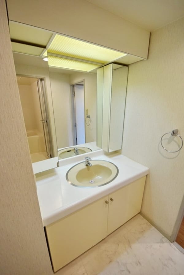 洗面(別部屋参考写真)