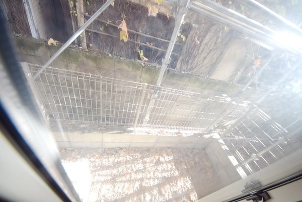 バルコニー(★洗濯物はこちらへ★)