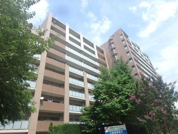 外観(外観)