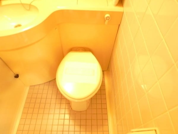 トイレ(同タイプ参考写真)