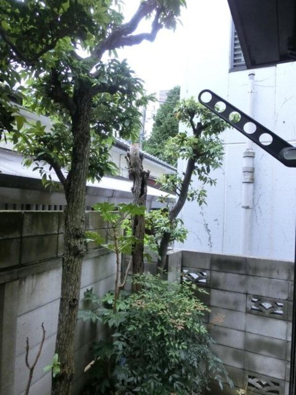 眺望(★テラス★)