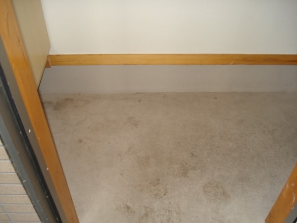 玄関(★玄関★)