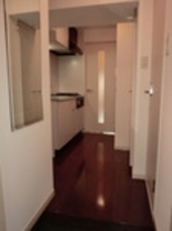 玄関(玄関から見たお部屋)