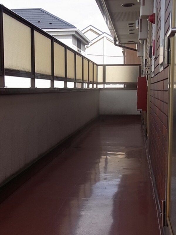 その他(共有廊下)