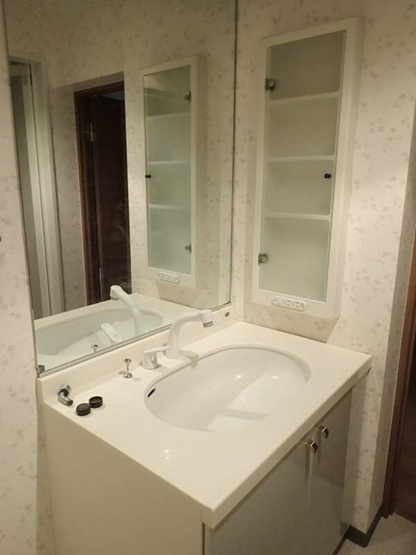 洗面(※他号室参考写真)