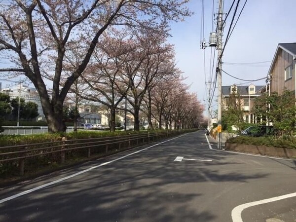 その他(★お部屋探しはタウンハウジング高幡不動店まで★)