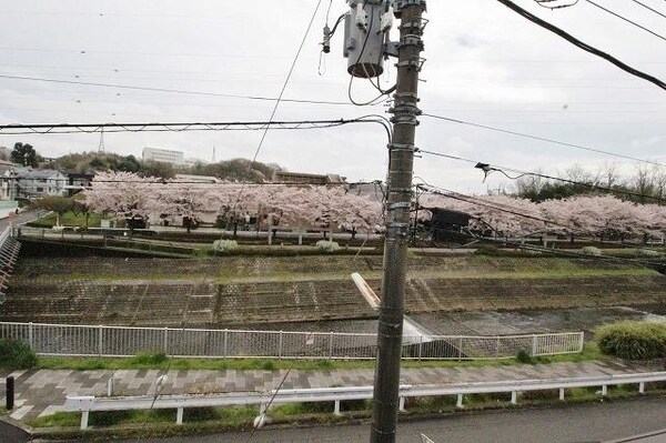 眺望(★春には、桜並木が見える眺望です☆)